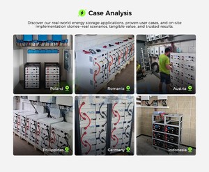 Batería LiFePO4 de 51.2V 100Ah 200Ah para Montaje en Rack, Certificación CE/IEC62619, Entrenamiento Tecnológico Gratuito, Disponible en EU/MY/PK/ID/PH, LVFU LFR51100 - Product Image 3