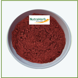 Extracto de tomate puro licopeno natural en polvo extracto de licopeno - Product Image 1