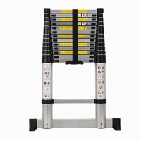 Échelle pliante extensible en aluminium robuste certifiée EN131 pour travaux industriels, entrepôts, gymnases et toitures