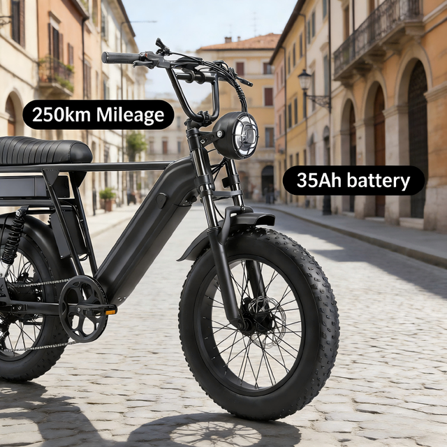 EU Stock Yangor Y20 Plus 250W 48V 35Ah Battery Aluminum Alloy Frame 20inch Mountain Electric Bicycle
