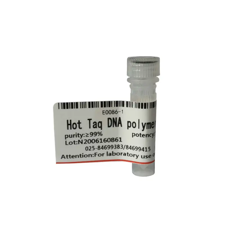 Provide high quality research reagent Hot Taq DNA Polymerase