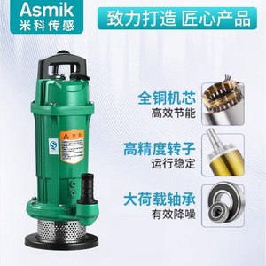 Bomba Sumergible Mico de 1 HP, 220V, Centrífuga, Eléctrica, para Riego Agrícola, con Salida de 1 Pulgada y Cable de 10 Metros - Product Image 2