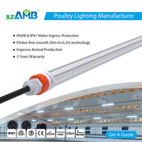 Iluminación LED Profesional para Granjas Avícolas, IP67, Espectro Completo 2700K-6500K, Resistente al Agua, Regulable, 80 CRI, 80lm/W
