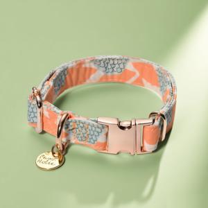 Collier pour chien en coton de qualité supérieure taille M, confortable, doux, design personnalisé, élégant, moderne, mignon, durable, stylé, luxueux, léger - Product Image 1