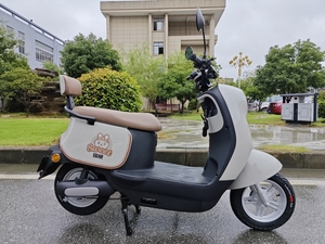 500W จักรยานนักเรียนสกู๊ตเตอร์เคลื่อนที่ได้ดีที่สุด GW-LN 500W-LN GW-LN GW-LN นักเรียน500W - Product Image 6