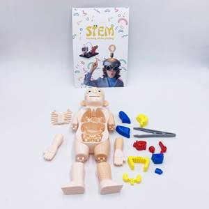 Modè<span class=keywords><strong>le</strong></span> du <span class=keywords><strong>corps</strong></span> <span class=keywords><strong>humain</strong></span> pour enfants, kit scientifique, projets de biologie pour enfants, jouets, kit scientifique du <span class=keywords><strong>corps</strong></span> <span class=keywords><strong>humain</strong></span>, jeux d'assemblage pour enfants - Product Image 6