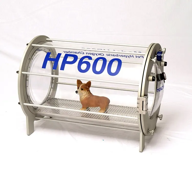 Veterinary Instrument Animal Hard Type Pet Hyperbaric Oxygen Chamber HP600 Veterinary Clinic Furniture