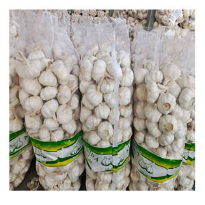 Prix d'usine <span class=keywords><strong>Ail</strong></span> frais chinois <span class=keywords><strong>Éléphant</strong></span> <span class=keywords><strong>Ail</strong></span> blanc pur - Product Image 4