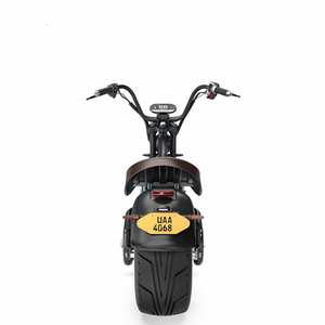 Moto Scooter Électrique Adulte 2000W EEC COC 60Km/H Haute Vitesse Moto Tout-Terrain à Vendre - Product Image 3
