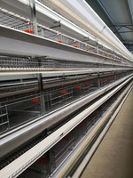Cage à poulets verticale haute densité à structure en H, équipement commercial pour élevages de poulets de chair de grande envergure