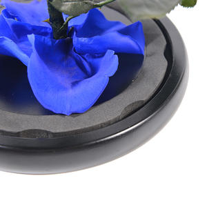 <span class=keywords><strong>PRIX</strong></span> SPÉCIAL OFFRE Fleurs de roses éternelles conservées éternellement Roses dans un dôme en verre Led pour les mères et la Saint-Valentin - Product Image 3