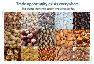 Máy Rang Cà Phê Máy Rang Chickpea Máy Rang Hạt Điều - Product Image 5