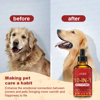 OEM Vente à Chaud Gouttes Liquide pour Animaux de Compagnie Vitamines Multi Vitamines 10-en-1 Mélange de Multivitamines Naturelles pour Chiens de Compagnie