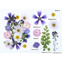 Kit de fleurs pressées naturelles, pétales et feuilles séchées véritables pour la création de cadeaux DIY, cours d'art floral, pack en vrac