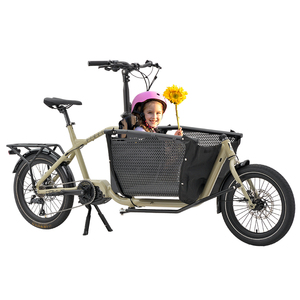 Entrepôt européen 8Fun Vélo cargo électrique à moteur central 20 pouces en alliage d'aluminium Vélo cargo électrique à deux roues avec passager - Product Image 4