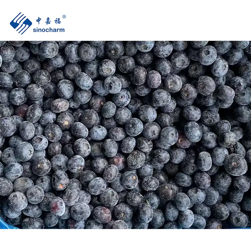 सिनोचार्म अच्छा स्वाद IQF ताजा ब्लूबेरी पूरे जमे हुए फल चीन से IQF जमे हुए फल