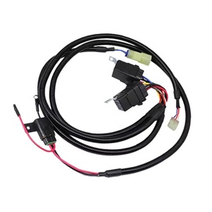 Kits de câblage moteur sur mesure Rancher 350 ES 2000-2006 avec capteur d'angle de déviation, gaine PVC, faisceau 2 conducteurs en cuivre pur - Product Image 1