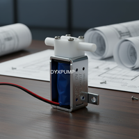 DYX-Electrovanne pour eau chaude DC6V 12V 24V, régulateur de pression d'eau pour machine à café, vanne de contrôle du niveau d'eau 2 bits
