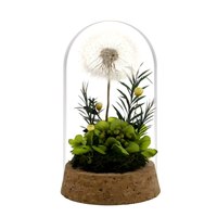 Bunga Dandelion buatan tangan yang diawetkan dalam 6x8cm hadiah kubah kaca untuk Hari Ibu wisuda Tahun Baru-kecantikan diawetkan selamanya