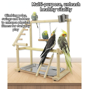 Eco-Friendly Natural Wood Parrot Playstand <strong>Bird</strong> Play Gym Removable Waste Tray Feeder Cups <strong>Bird</strong> Perch Playpen Parakeet <strong>Toy</strong> - Product Image 3