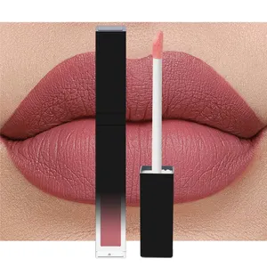 Commercio all'ingrosso Oem Logo personalizzato impermeabile vegan nude lipstick private label Cosmetic Long Lasting Velvet Liquid matte nude Lipstick