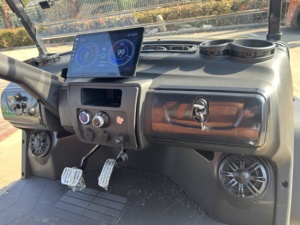 중국산 도로 주행 가능 골프 카트 리프트업 원격 제어 럭셔리 골프 카트 - Product Image 6