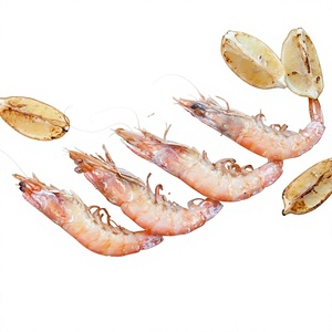 Vente en gros de dalles de sel de l'Himalaya 100% naturelles, best-seller, prix avantageux. Briques et carreaux de sel de l'Himalaya pour la cuisson au barbecue. - Product Image 2