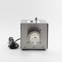 Pompes à transfert de carburant diesel et d'eau micro-magnétiques de style nouveau, faciles à utiliser, prix compétitif, pompes à eau à engrenages 316