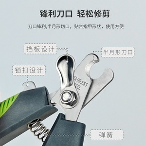 <b>Pet</b> Nail <b>Clippers</b> Stainless Steel Blue Green Large Size <b>For</b> Cats And Dogs Grooming Trim Tool - Product Image 3