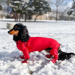 Qiqu Pet Supplies Custom New Designer Winter Dog body protezione UV tuta per animali domestici <span class=keywords><strong>a</strong></span> quattro zampe hot spot healing per bassotto - Product Image 2