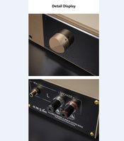 BRZHIFI Amplificateur haute puissance FM300AS Audiophile Hi-Fi classe A/B Post Stage Audio Direct-Cut Swiss FM Circuit Amplifier System