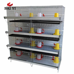 Jaula de cría de <span class=keywords><strong>pollitos</strong></span> recién <span class=keywords><strong>nacidos</strong></span> 1000 condición de jaula de pollo para bebés nuevo - Product Image 1