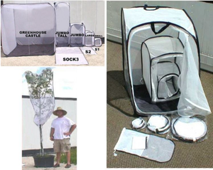 Toptan şube böcek yaprak kafes şube kafes özelleştirilmiş böcek kafes bahçe bitki meyve koruyucu çanta kapakları - Product Image 6