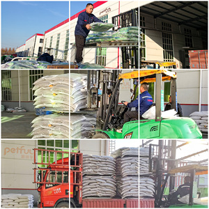 תוצרת בית מלאה בריאות ישירה תינוק ג 'וניור למבוגרים לחיות מחמד עבור קטן נוסף קטן קטן בינוני ענק גזעי כלבים חתולים - Product Image 5