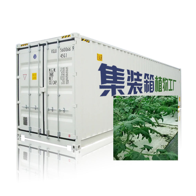 Automatic Vertical Hydroponic Growing System with Drip Irrigation and Pump Container Hydroponics Equipment