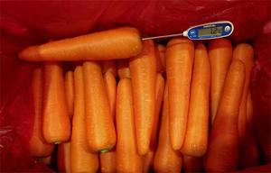 Mới thu hoạch cà rốt tươi rửa sạch cà rốt tươi - Product Image 3