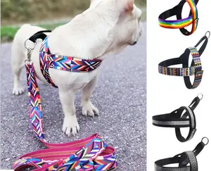 Harnais en nylon pour chien, personnalisé à la mode, laisse en plomb, pour chiot