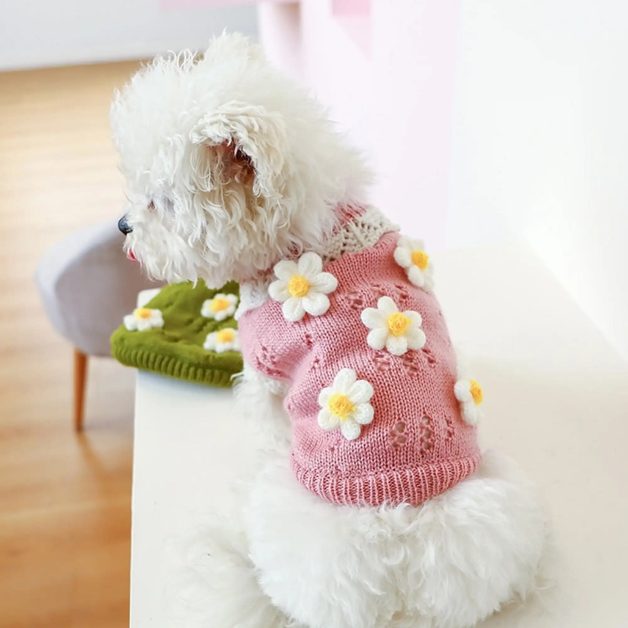 2024ペットかわいいセーター3Dクラシックな花が咲く寒い天候のための2本足のニット服小中犬猫新着