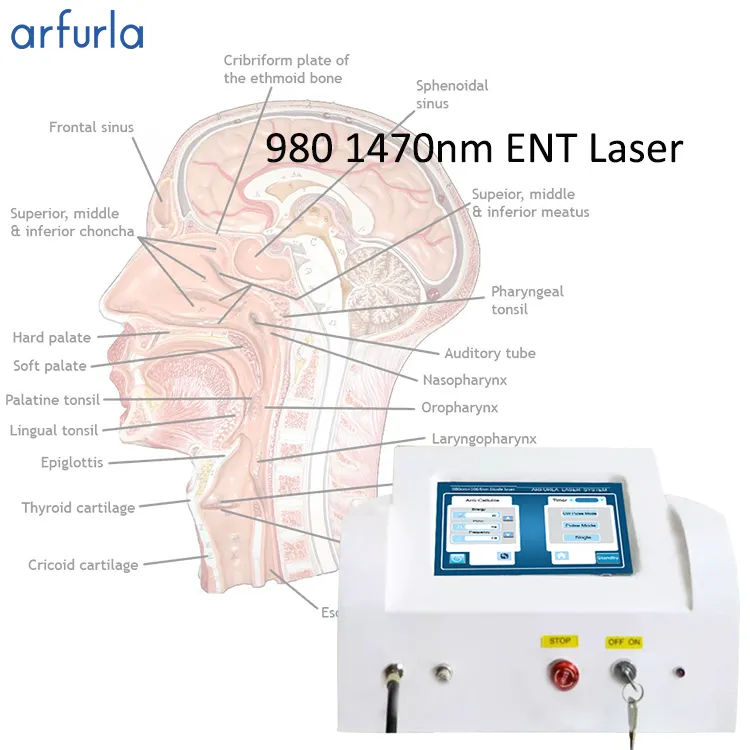 980 1470 nm surgical equipment diode laser system for ENT Ear Nose Throat Therapy dental treatment ENT diode laser