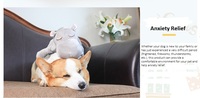Module enregistreur sonore en forme de cœur pour battements de cœur, voix et musique, avec bouton, pour jouets en peluche, animaux en peluche, poupées et enfants