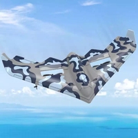 Avion télécommandé électrique Cesner F22 F35 U2 rc Planeur de chasse lumineux triangulaire à voilure fixe Moteur en mousse avec USB