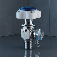 Válvula de Gas Manual Especializada WIN-Q CGA 326 para Cilindro de Gas Óxido Nitroso, Tamaño de Puerto 3/4 NGT, Garantía de 3 Años, Acero Inoxidable 316L