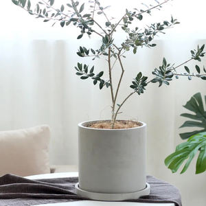 Venta directa <span class=keywords><strong>de</strong></span> fábrica cilindro cemento suculentas <span class=keywords><strong>macetas</strong></span> al por mayor maceta <span class=keywords><strong>de</strong></span> hormigón con soporte <span class=keywords><strong>de</strong></span> <span class=keywords><strong>madera</strong></span> - Product Image 5