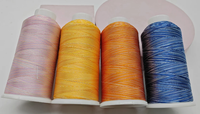 Fil à broder en polyester multicolore et varié, couleur arc-en-ciel, 120D/2, fil à broder en polyester