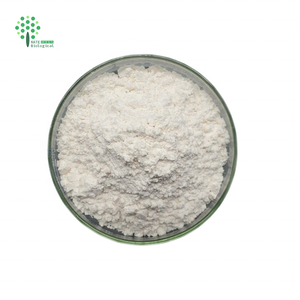 Nhà máy cung cấp chiết xuất táo <span class=keywords><strong>phloretin</strong></span> 98% CAS 60-82-2 bột số lượng lớn - Product Image 4
