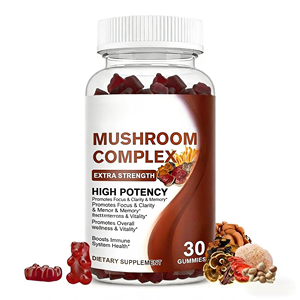 Özel Marka Nootropik Beyin Takviyeleri Aslan Yelesi Mantarı Jelibonları Organik Mantar Jelibonları - Product Image 1