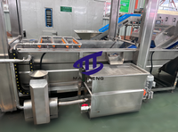 Industriële Bubble Wasmachine Voor Fruit/Groenten/Zeevruchten-Apple Mango Kreeft Vis Reiniging Lucht Drogen Verwerkingslijn