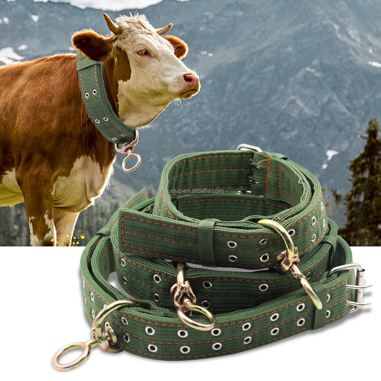 Verstellbares Rinderhalsband aus dickem Canvas, Gren S/M/L, grn