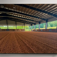 Étable à structure métallique préfabriquée à faible coût/cheval/bâtiment de ferme de moutons/grange/écurie à vendre