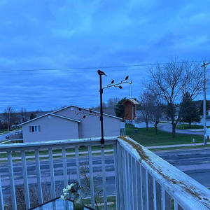 ที่แขวนอาหารนกโลหะ TJ-029 สำหรับแขวนกลางแจ้ง ทนทาน ใช้ได้ทั้งเป็นที่ให้อาหารและน้ำ ดีไซน์เรียบง่ายรูปทรงสี่เหลี่ยมผืนผ้า - Product Image 3